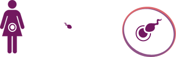 Donor eggs and partner's sperm