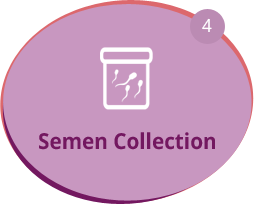 Semen Collection