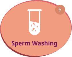 Sperm Washing